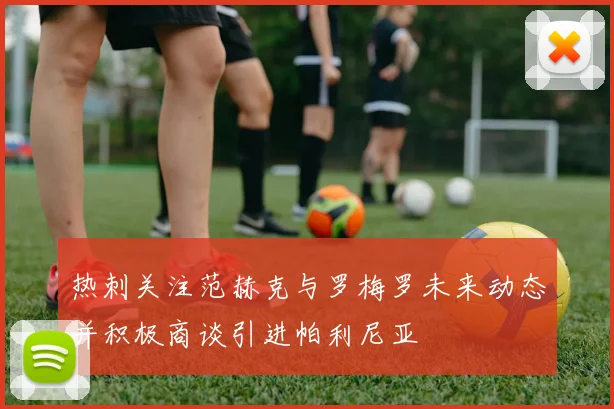 热刺关注范赫克与罗梅罗未来动态并积极商谈引进帕利尼亚