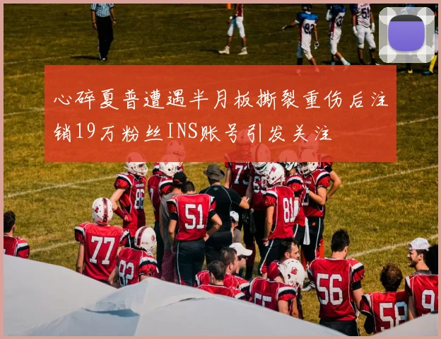 心碎夏普遭遇半月板撕裂重伤后注销19万粉丝INS账号引发关注