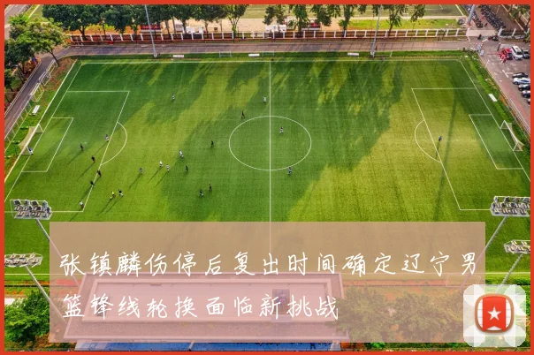 张镇麟伤停后复出时间确定辽宁男篮锋线轮换面临新挑战