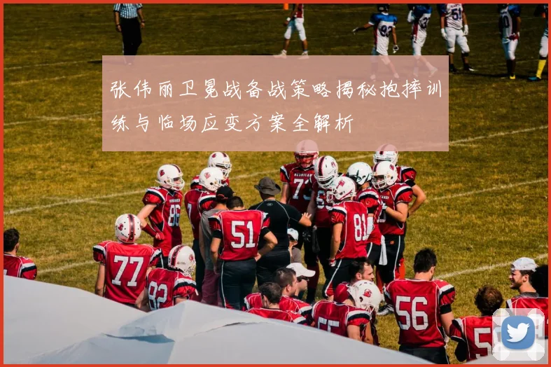 张伟丽卫冕战备战策略揭秘抱摔训练与临场应变方案全解析
